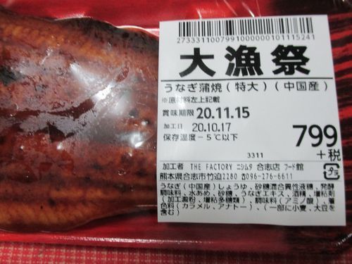 ウナギ特大.jpg